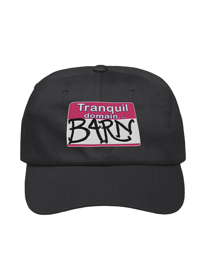 TD Barn Hat product image (4)