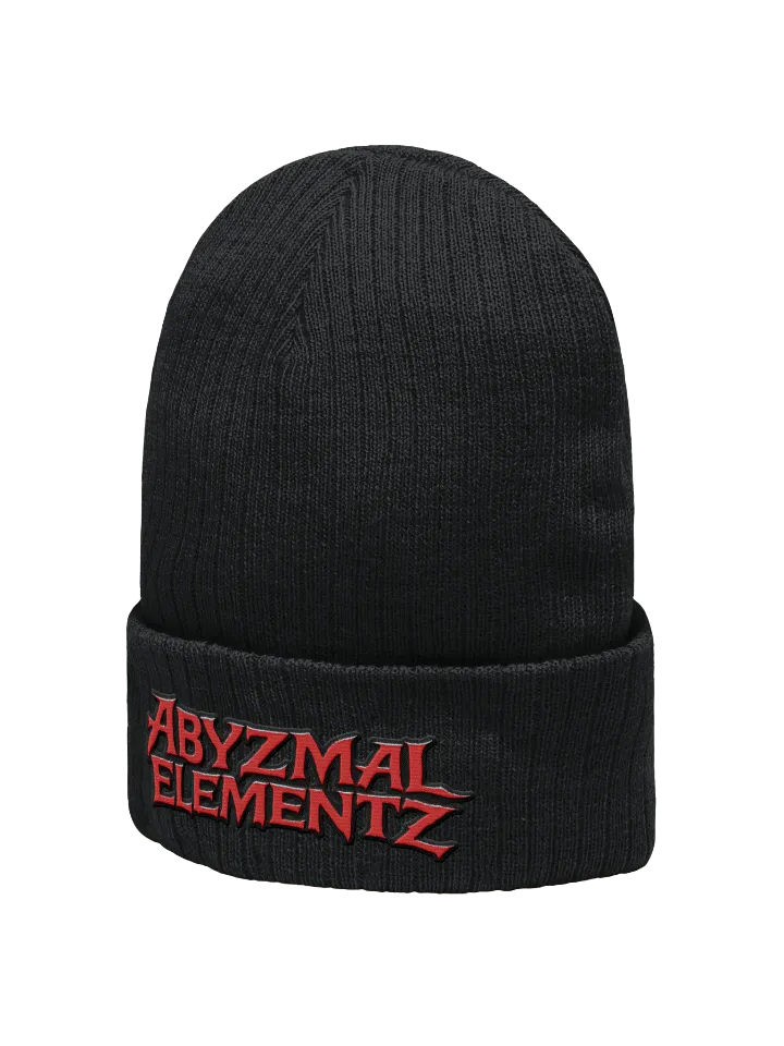 AE Logo Beanie product image (2)