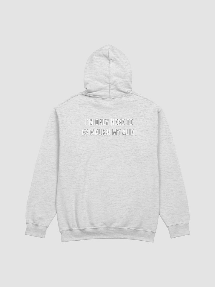 Establish My Alibi - Hoodie product image (15)