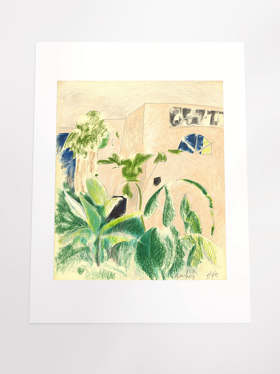 Plants & Windows (1010 home) 04.20.83 print product image (5)