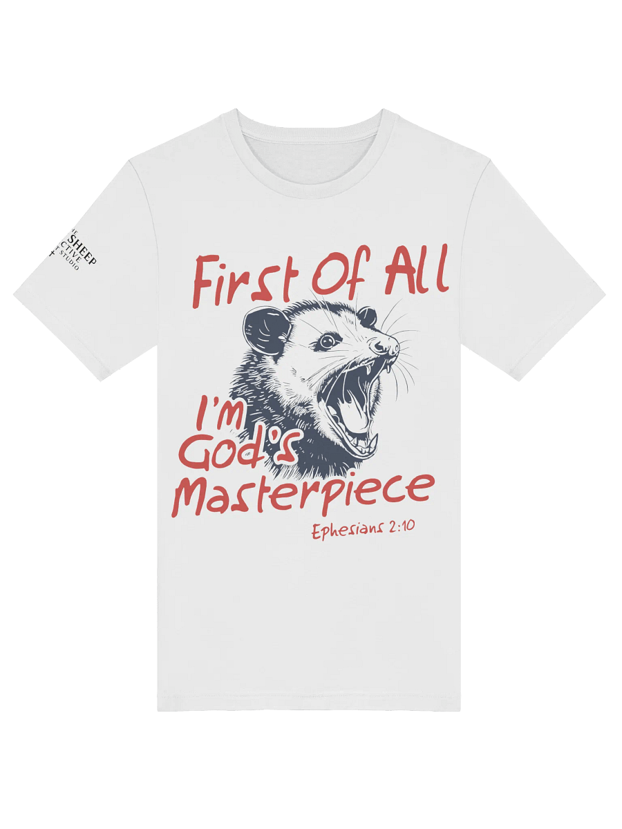 God's Masterpiece Opossum T-Shirt product image (5)