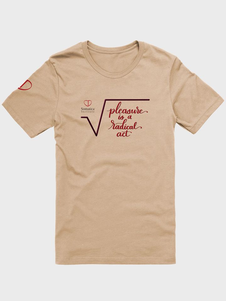 Pleasure is a radical act T-Shirt product image (1)