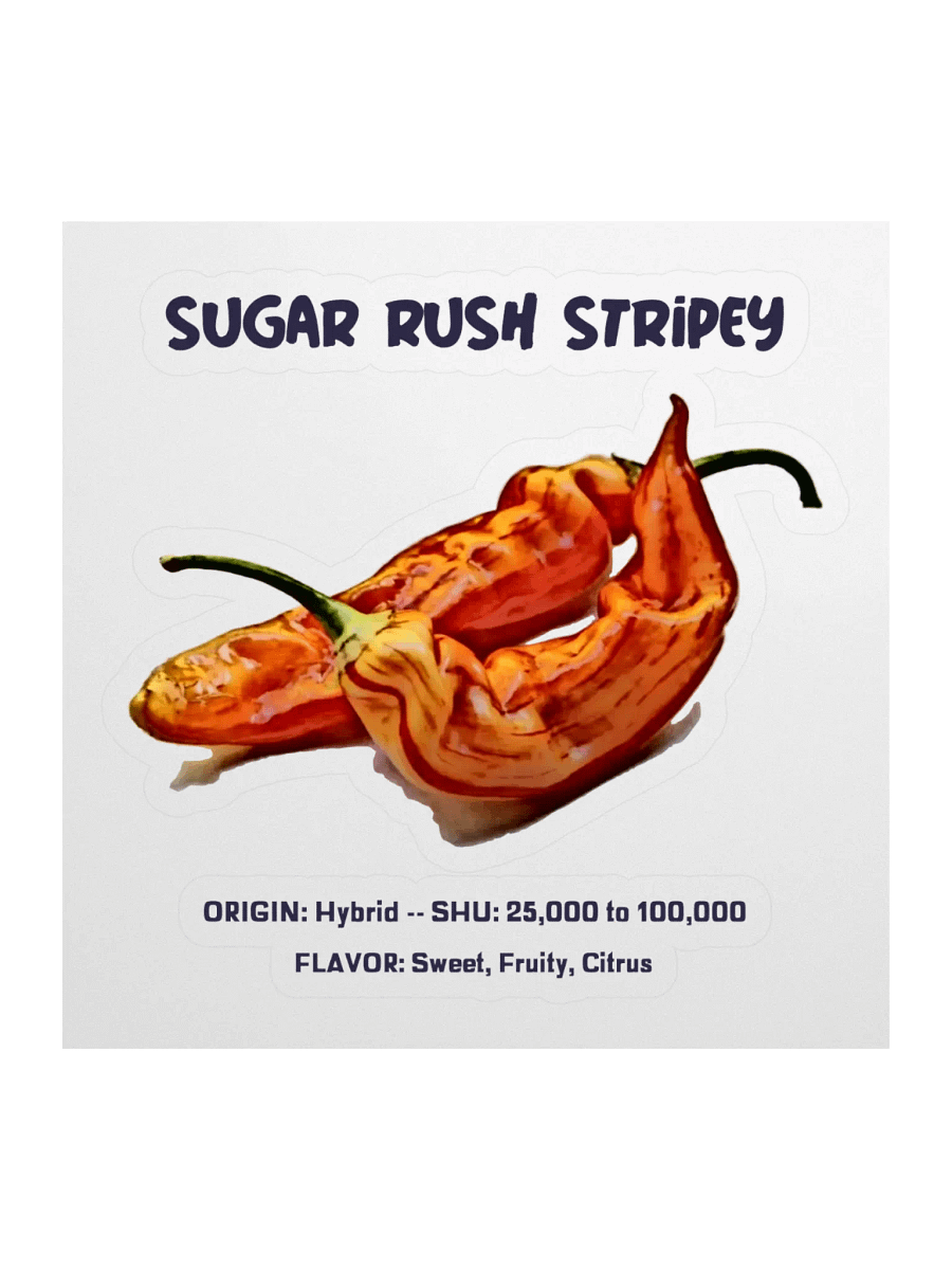 Sugar Rush Stripy Pepper Sticker product image (1)