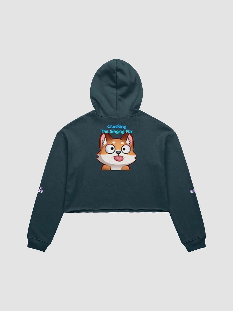 Ladies Hoodie product image (14)