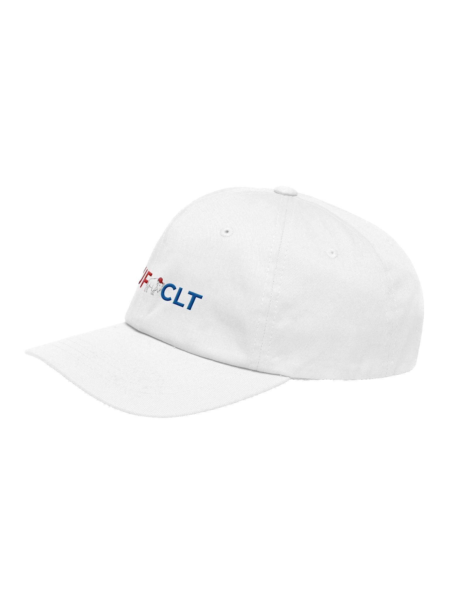 BUF x CLT Hat product image (3)