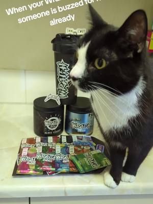 #wraithenergy #gamerfuel #energydrink #sugarfreeenergy #gaming #20k #roadto20k #cleanenergy #energydrink #cat #catsoftiktok #catlover 