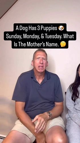 This video is brought to you by @cutcocutlery  #cooking #tablesetting #gardening Did you catch the joke right away? Be honest!