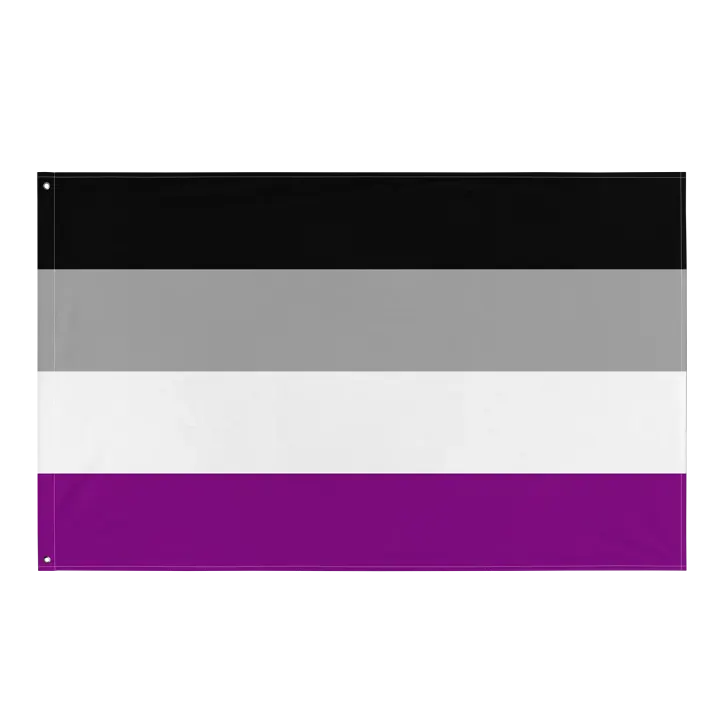Asexual Pride Flag product image (1)