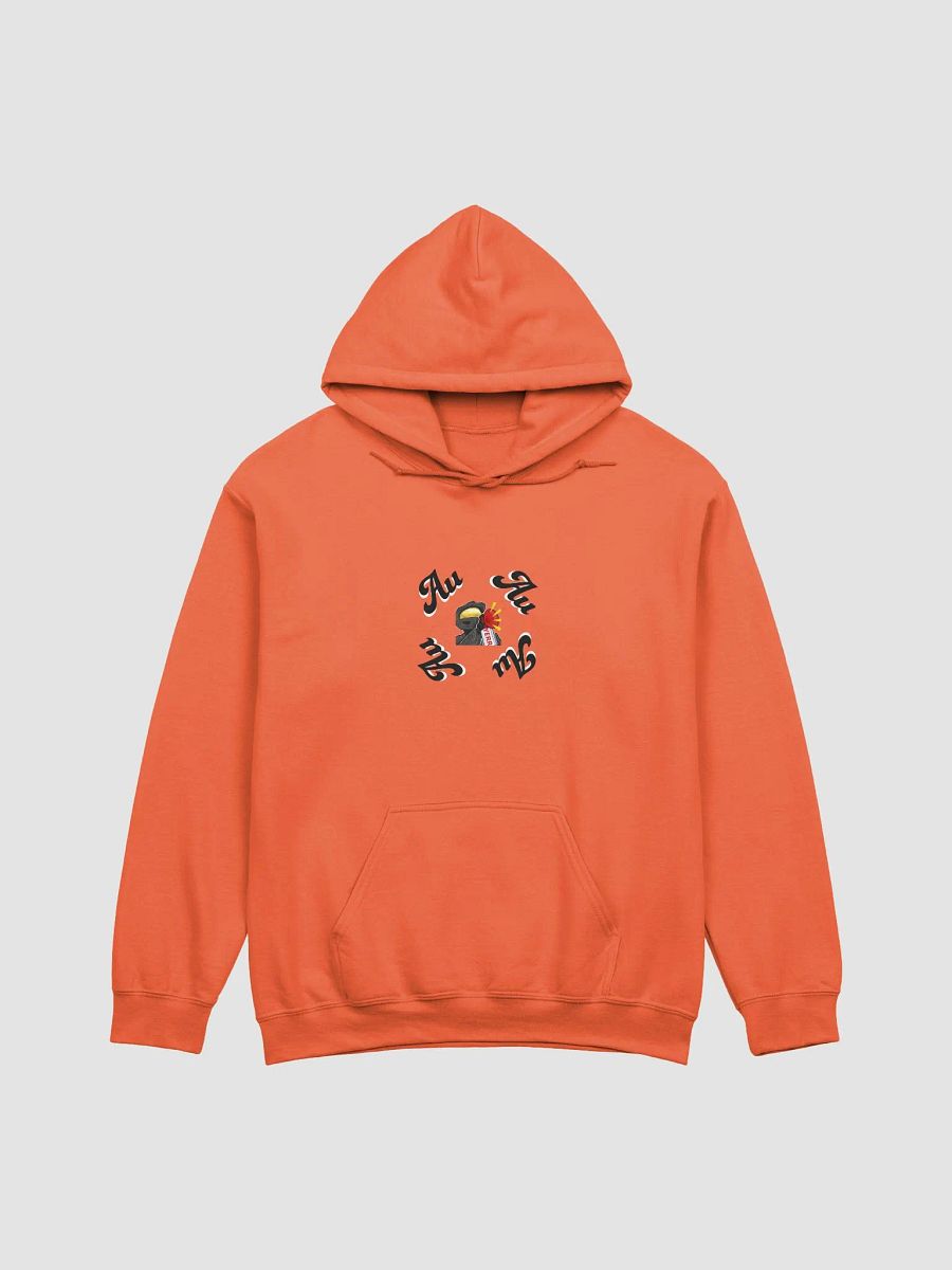 Article 13 - Example (Light) Hoodie product image (2)