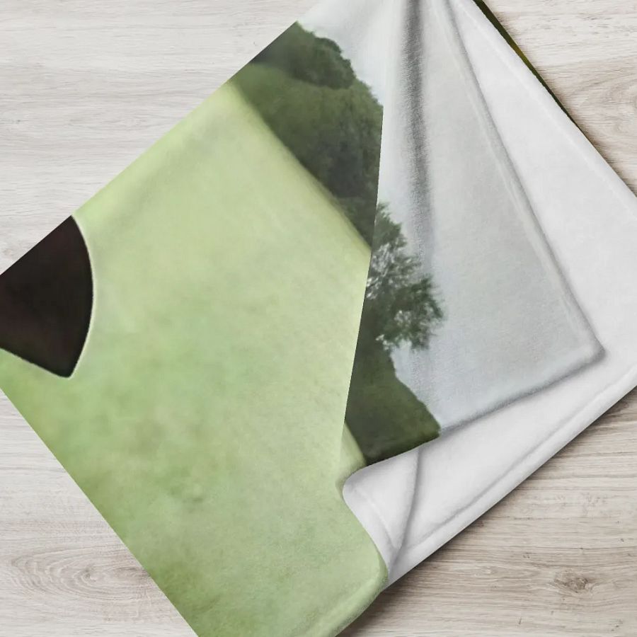 Pioneer Woman Throw Blanket product image (5)