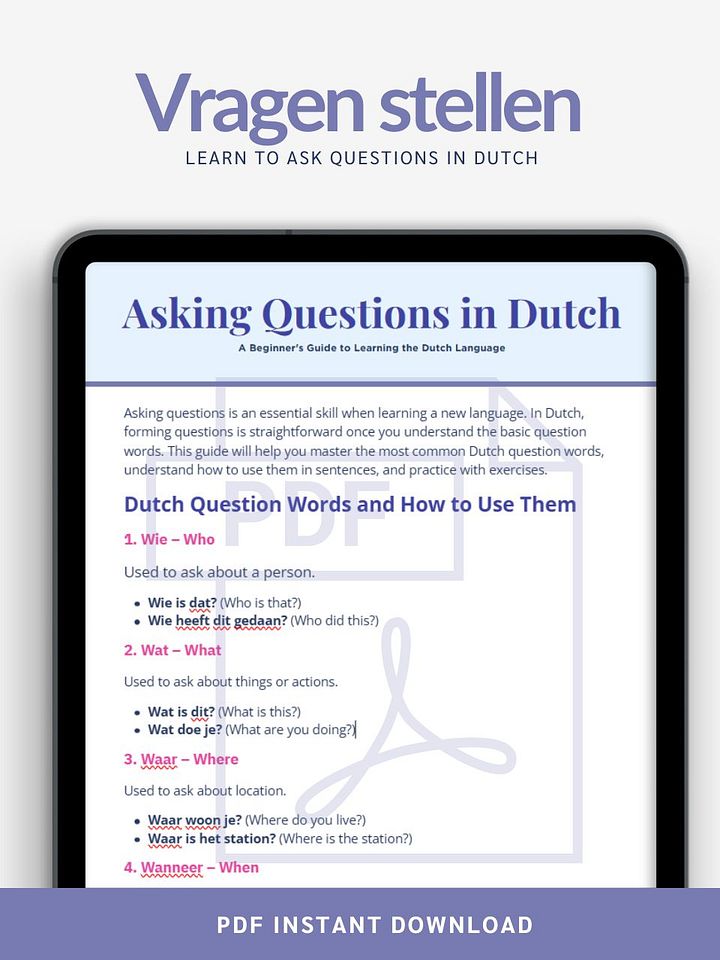 Master Dutch Question Words product image (1)