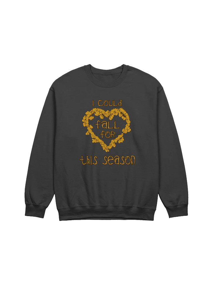 FALL SWEATSHIRT (D2) product image (1)