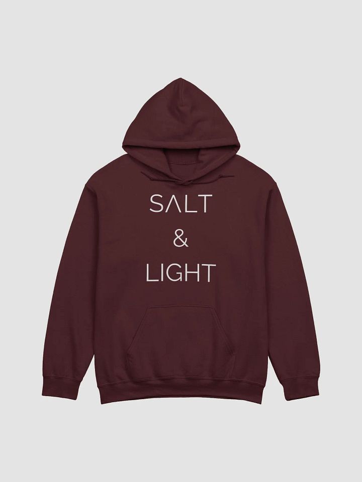 Salt & Light Hoodie product image (6)