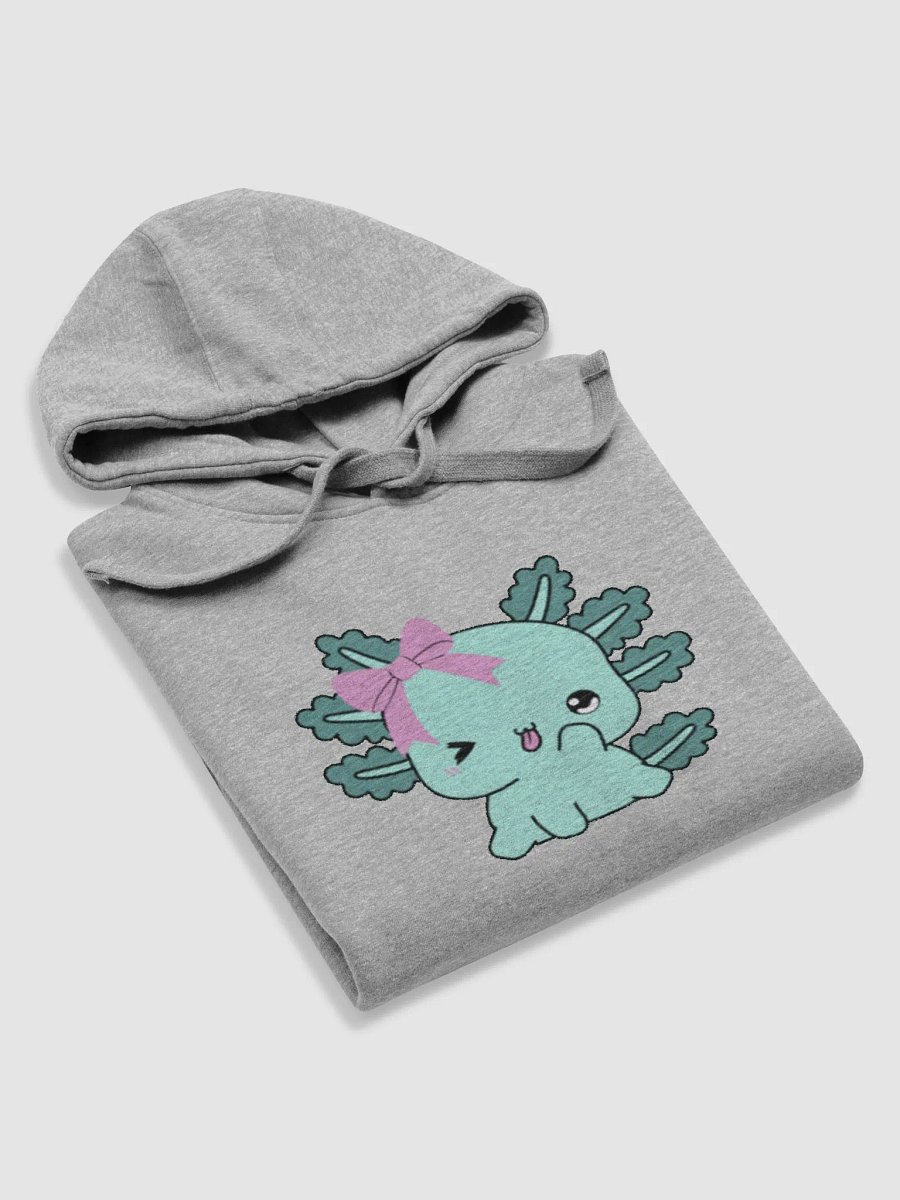 axo hoodie product image (5)