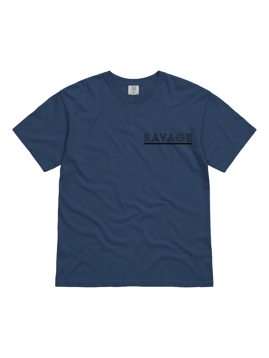 Savage World product image (8)