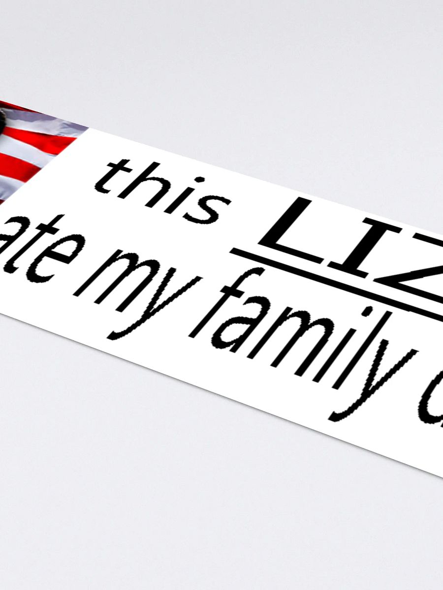 LIZARDKIN KEEP EATIN MY PETS (sticker) product image (4)