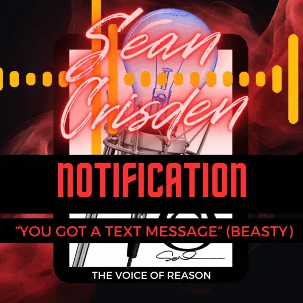 Audio Notification - 