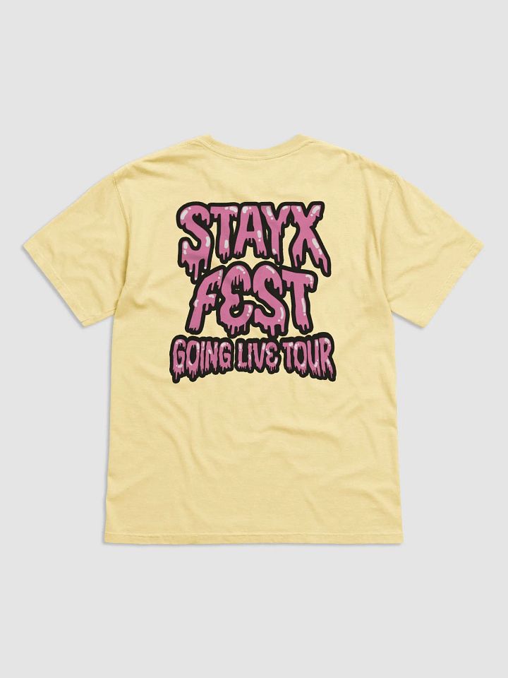 Stayx Fest- Festival Tee product image (2)