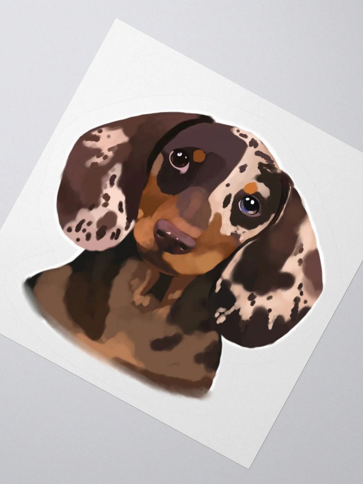 Dachshund product image (6)