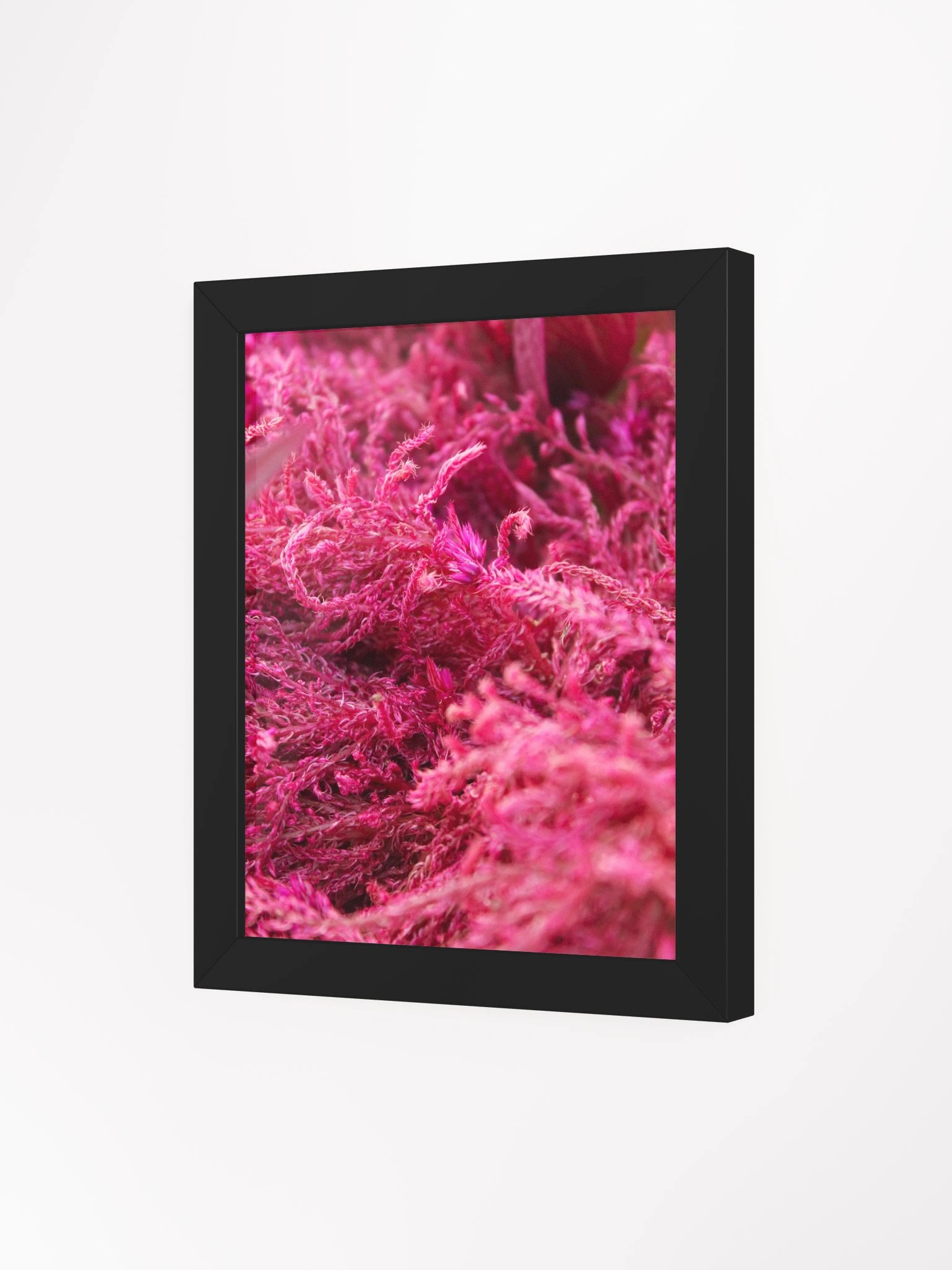 Pink Fluffy Botanical Framed Paper Poster product image (5)