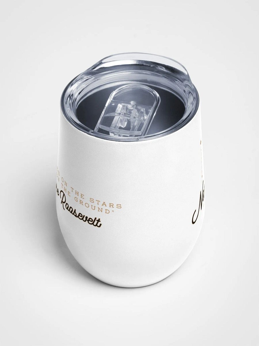 Stargazer ✧ North Dakota Wine Tumbler product image (5)