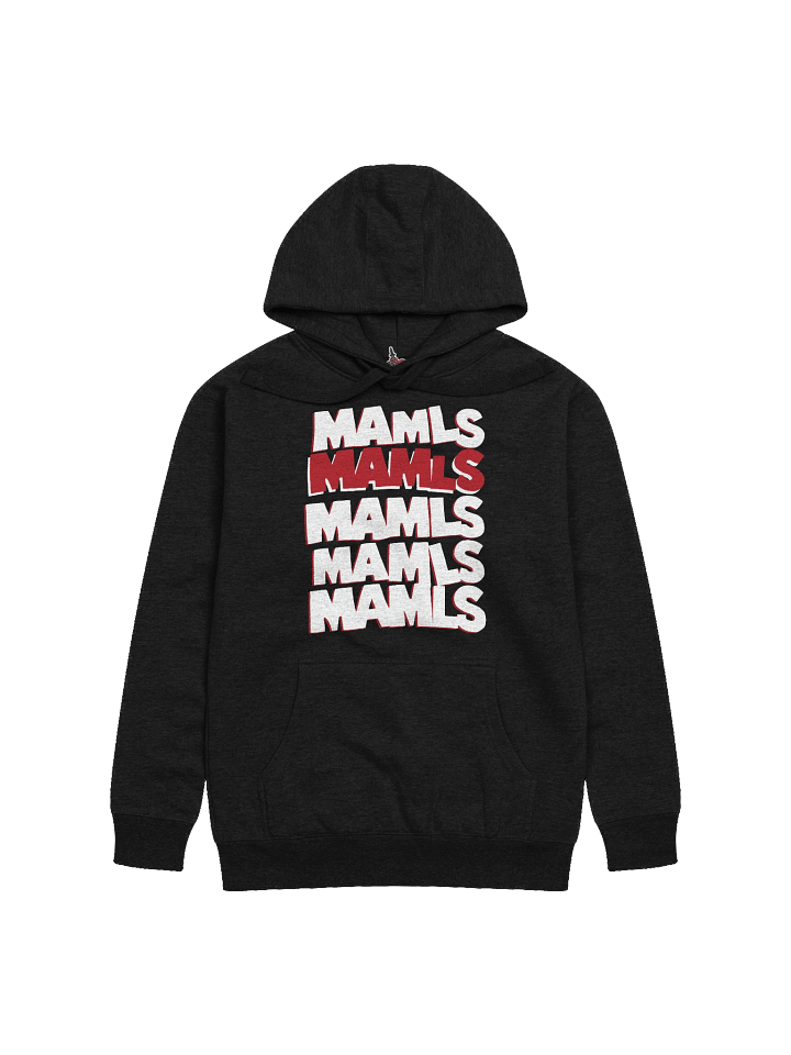 the Hoodie - Black product image (1)