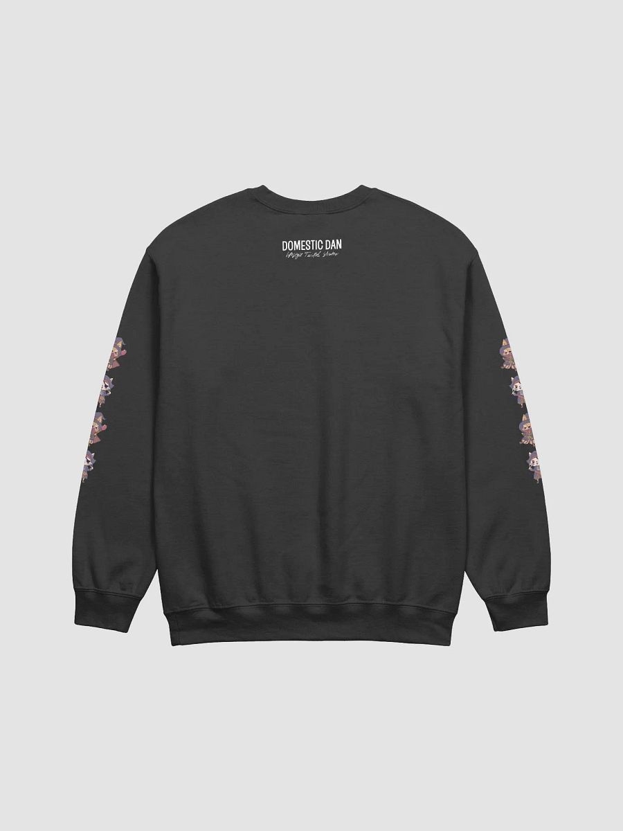 Pirate Sweater product image (2)