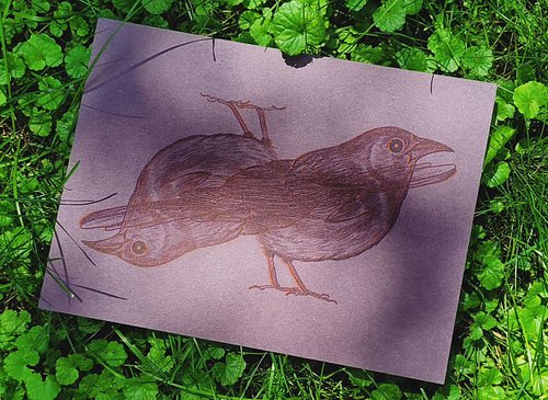 some experiments with printing on dark paper! various combos of blue, bright red, and fluorescent orange ink 🐦‍⬛
.
.
.
.
.
#r...