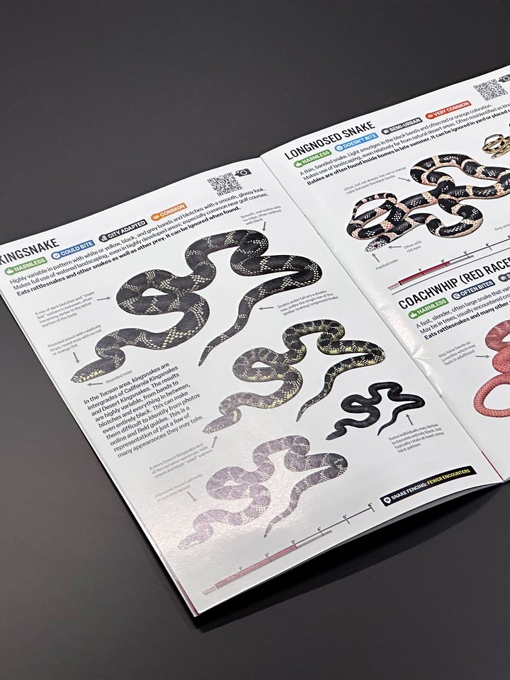 Snakes of Tucson – Snake ID & Info For Everyone From Hikers To Homeowners product image (2)
