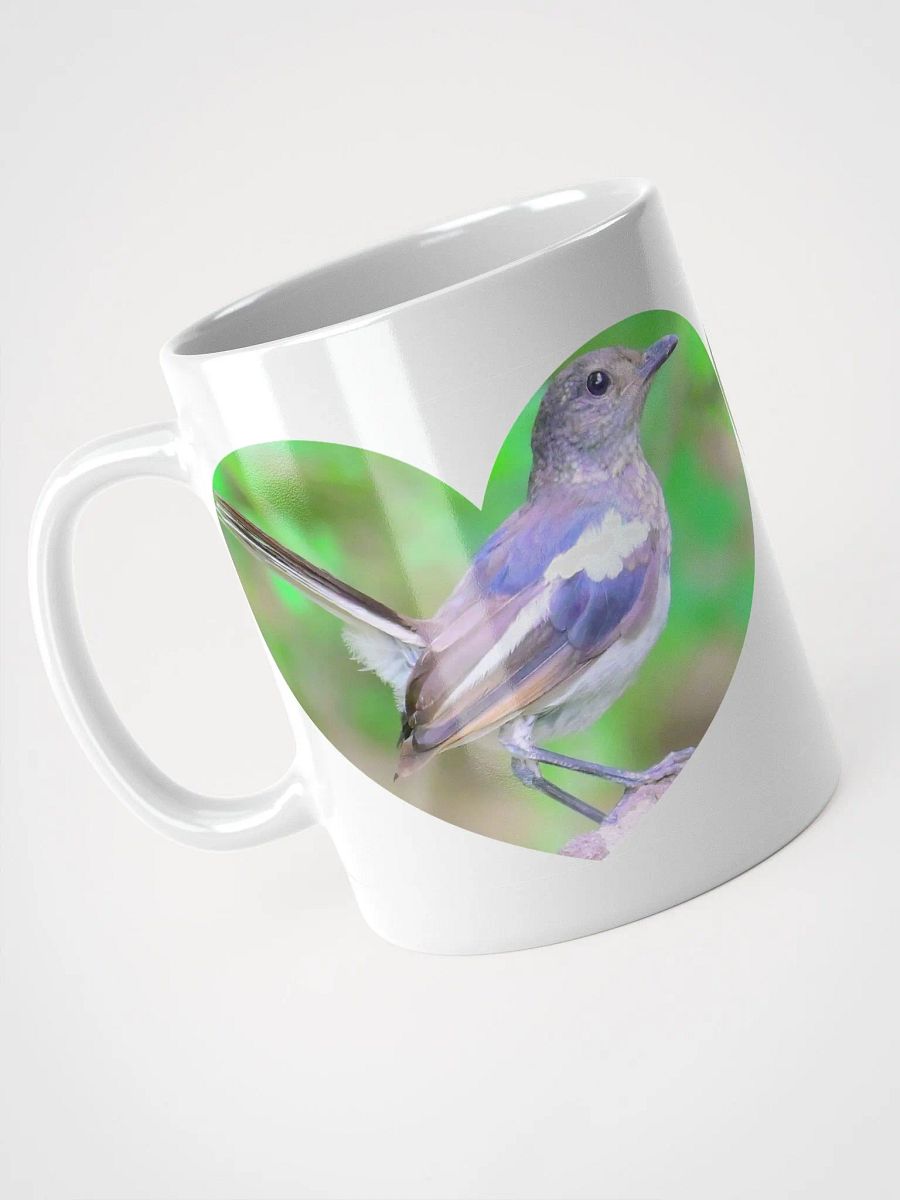 IUCAA Birds WHITE MUG product image (8)