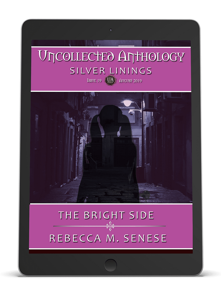 The Bright Side product image (1)