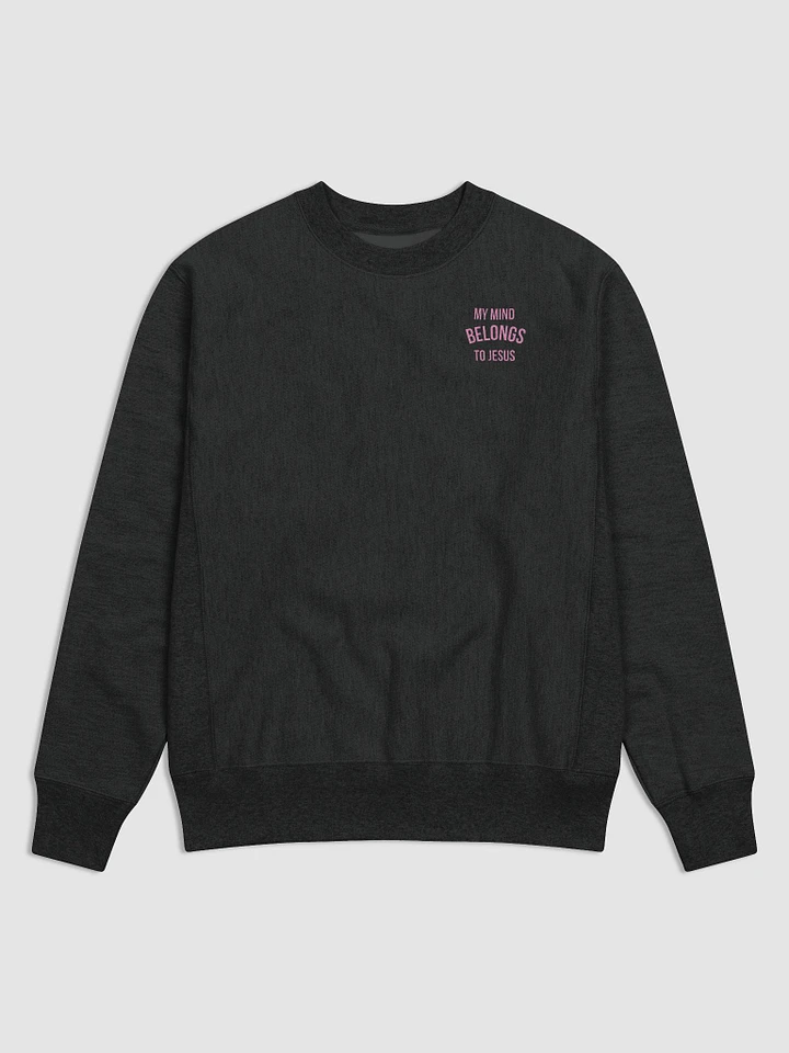 Take Captive Sweatshirt product image (1)