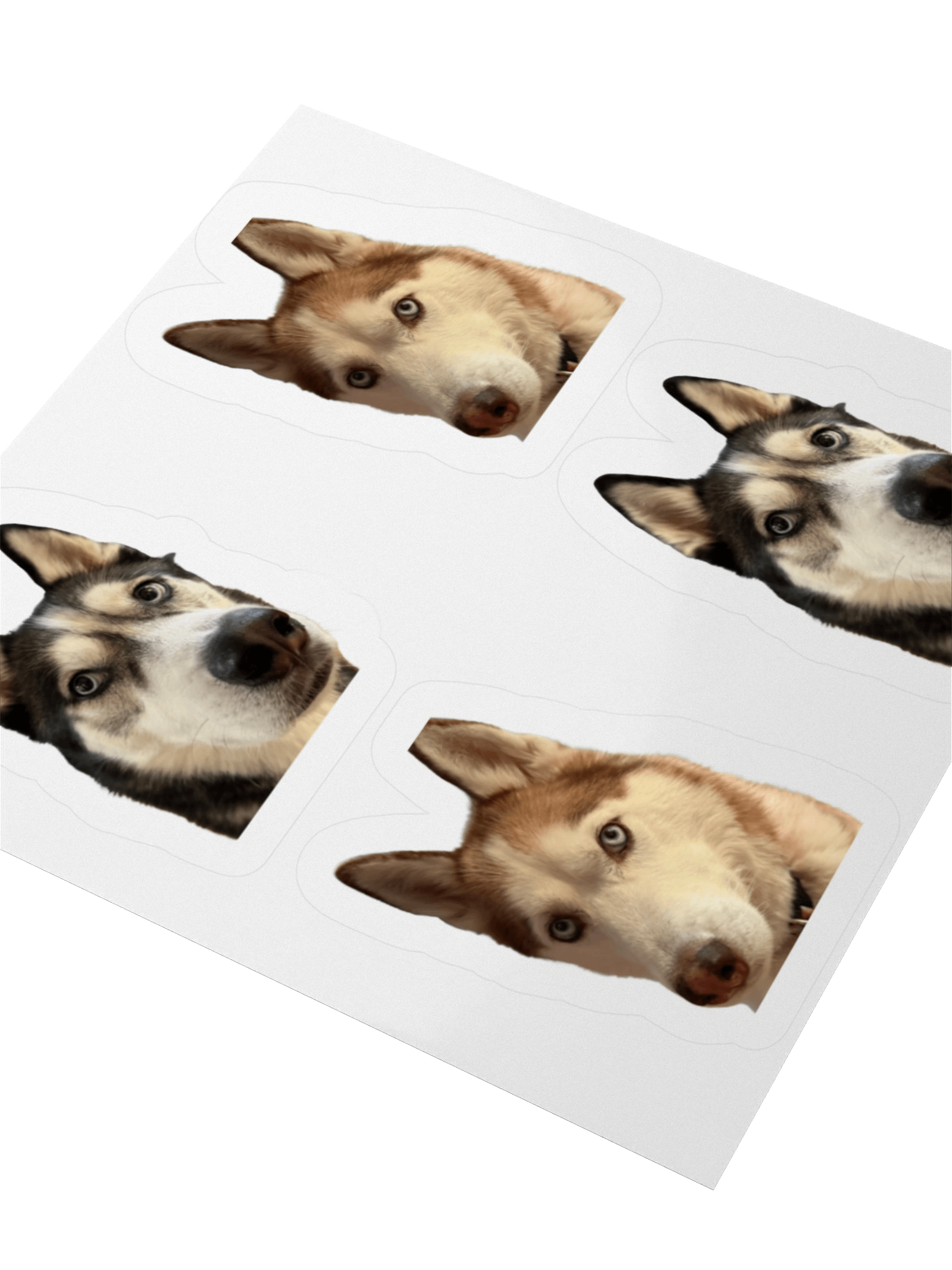The Huskies Stickers product image (6)