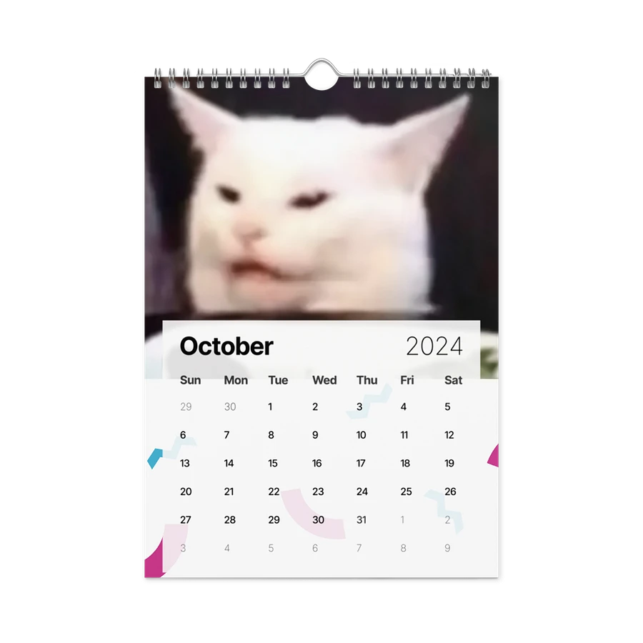 Wall Calendar (2024): Meme Cats product image (16)