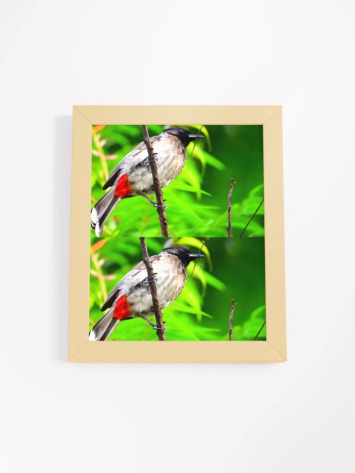 IUCAA Birds Photos product image (1)