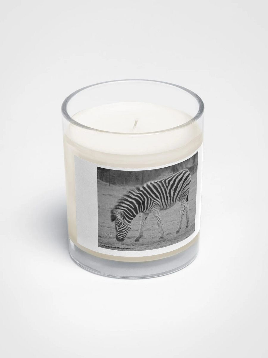Zebra Candle product image (2)