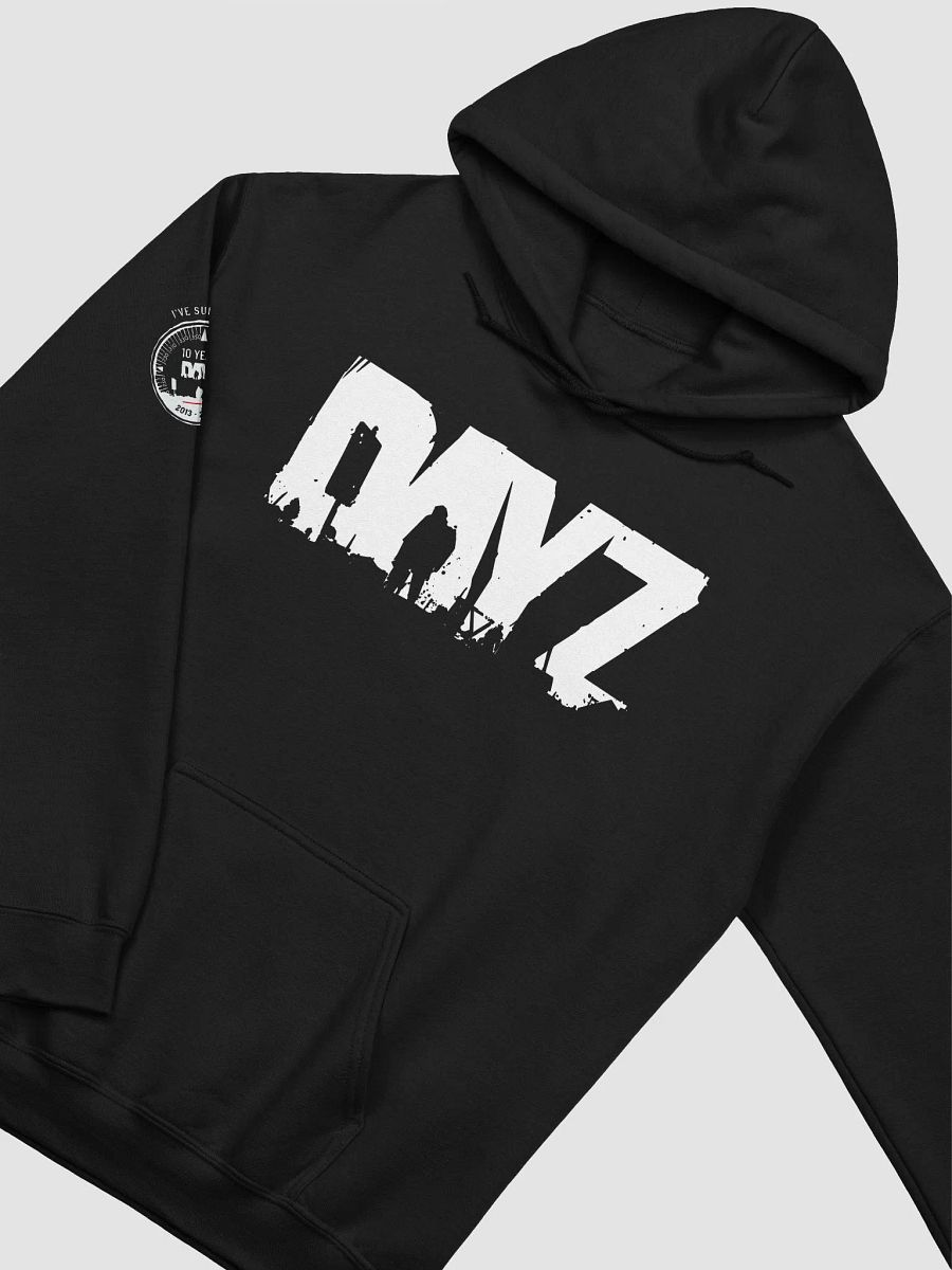 DAYZ Anniversary Hoodie product image (2)
