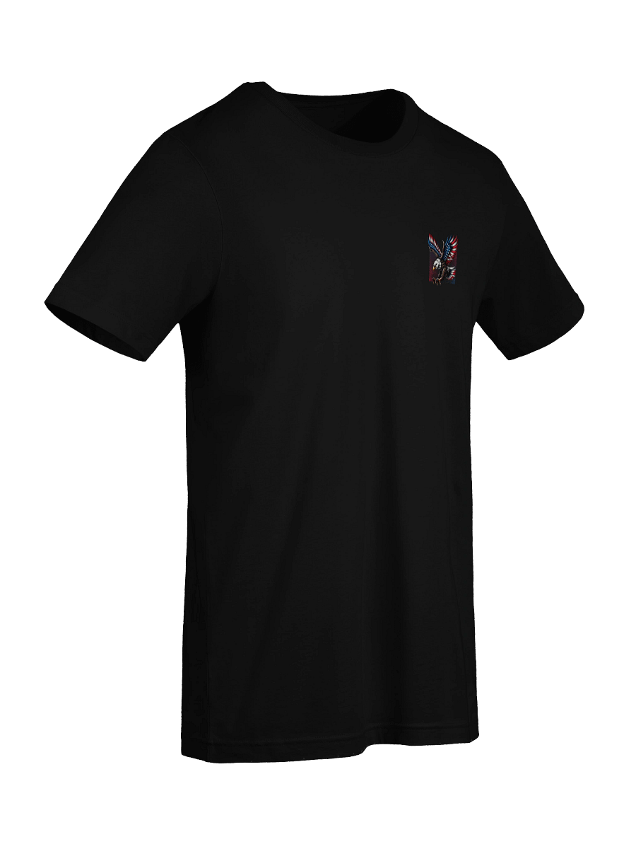 Stronger Together - America EST. 1776 product image (10)