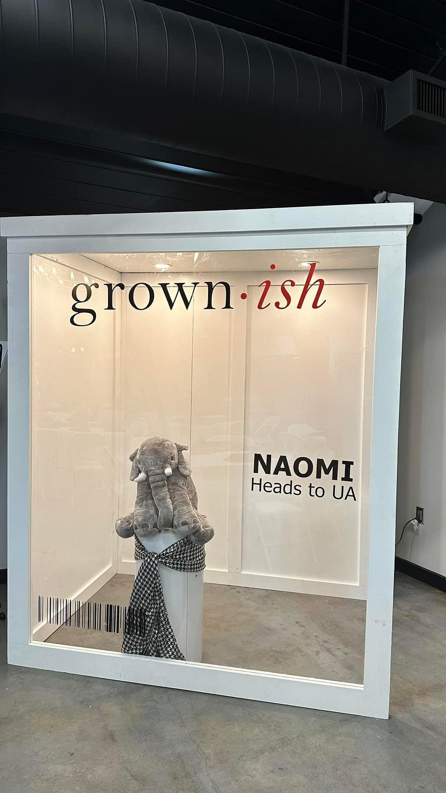 Build Plans for A Vogue Photo Booth product image (3)
