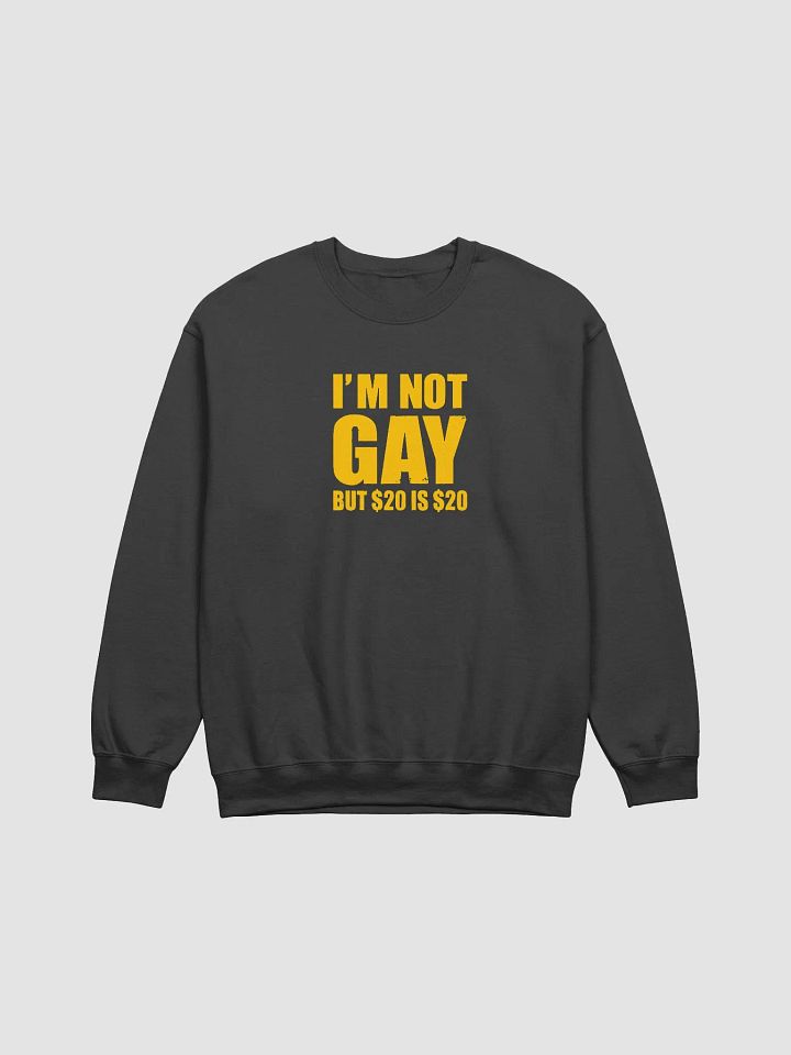 I'm Not Gay But $20 Is $20 Sweatshirt - Funny Graphic Sweatshirt for Men/Women product image (1)
