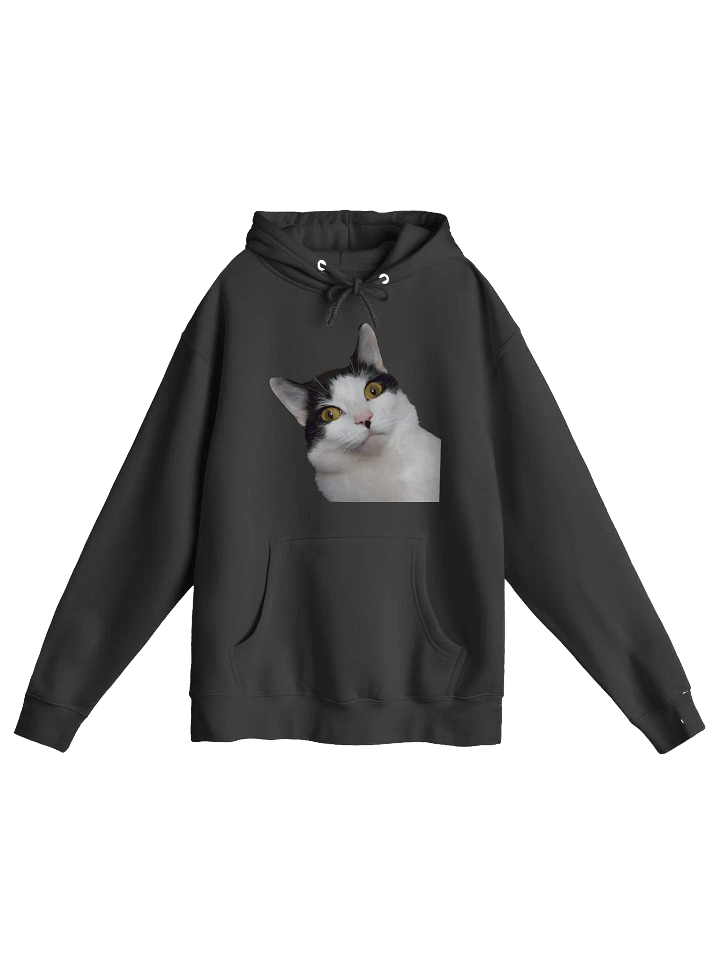 Charlie Hoodie product image (1)