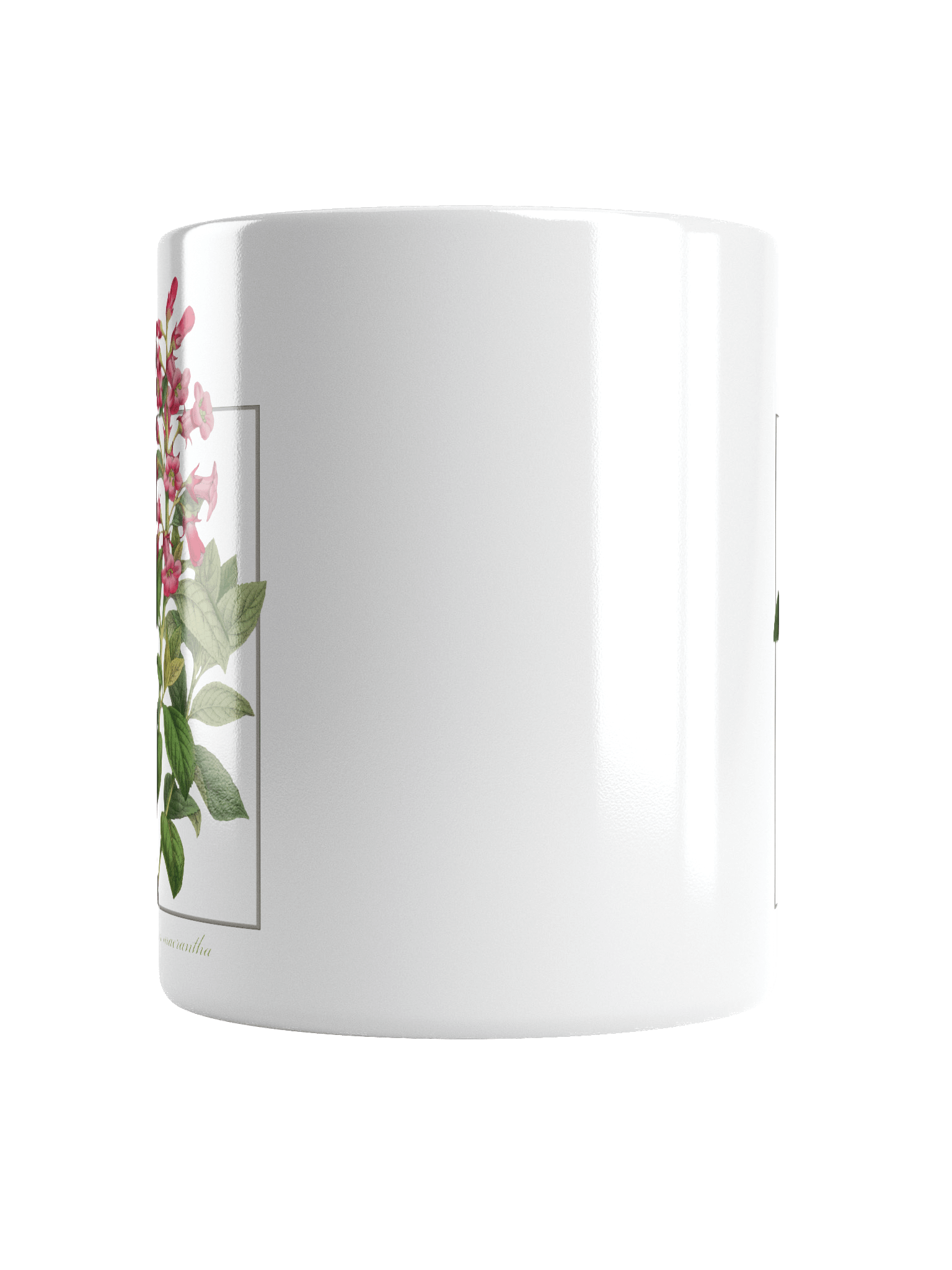 Escalonia Ceramic Mug product image (18)