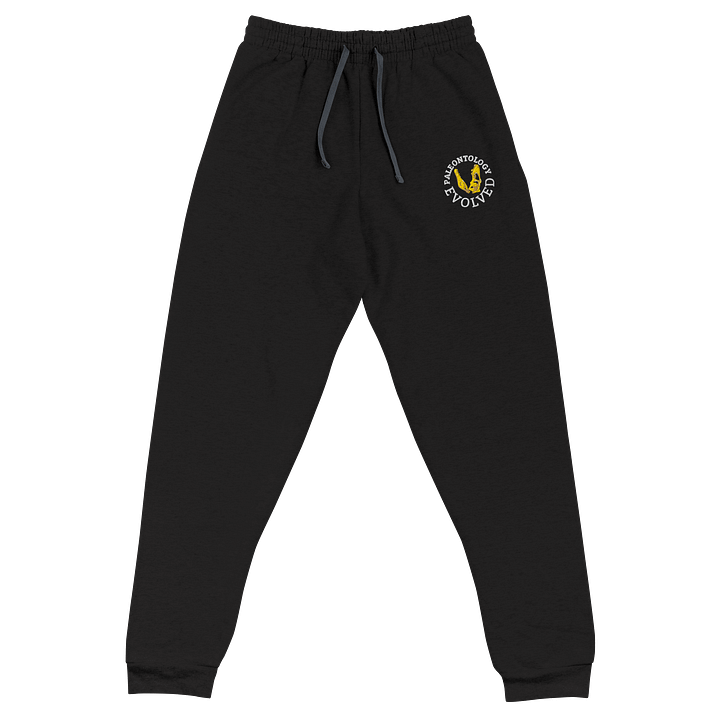 Embroidered Sweat Pant product image (2)