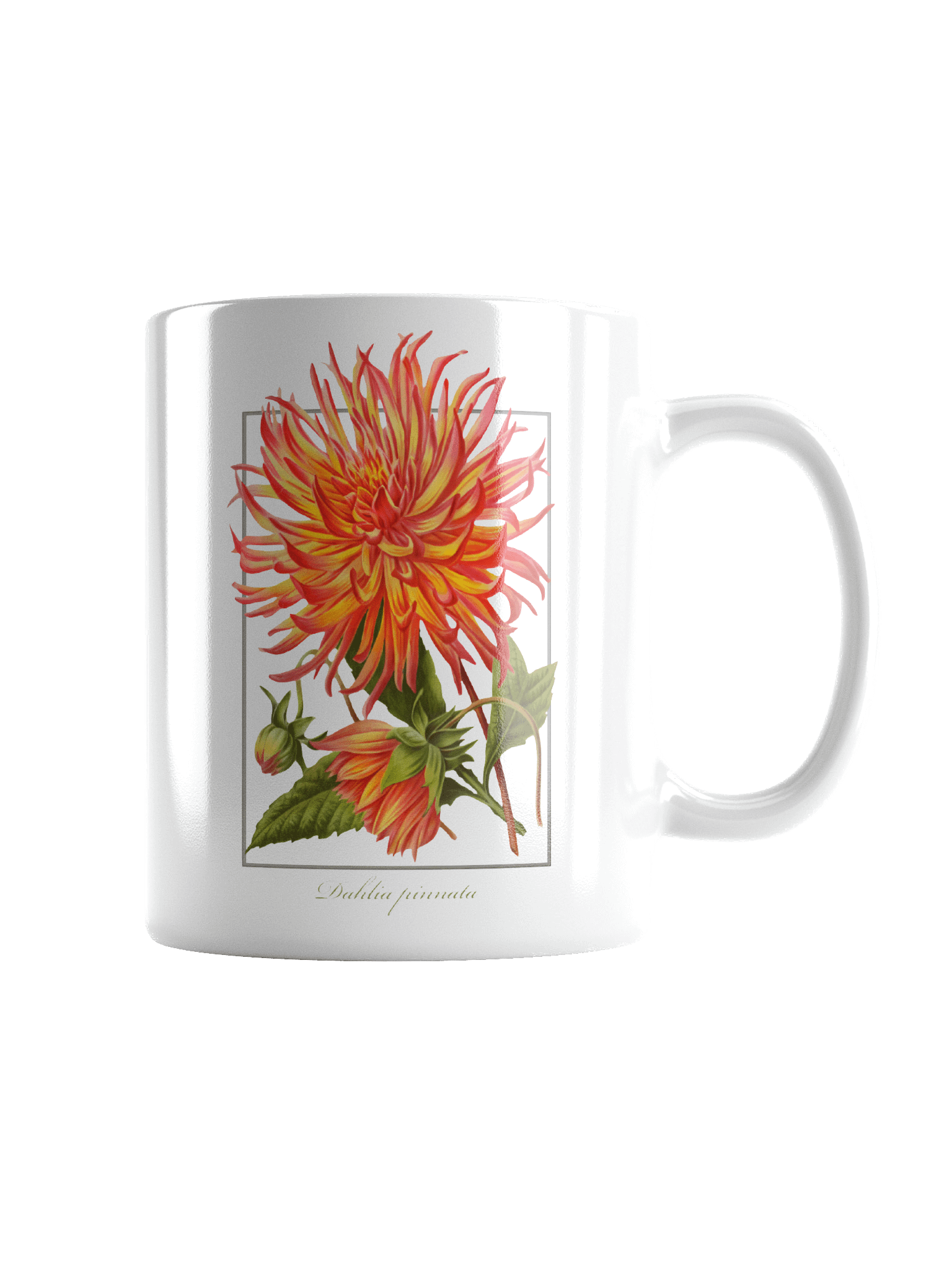 Cactus Dahlia Ceramic Mug product image (6)