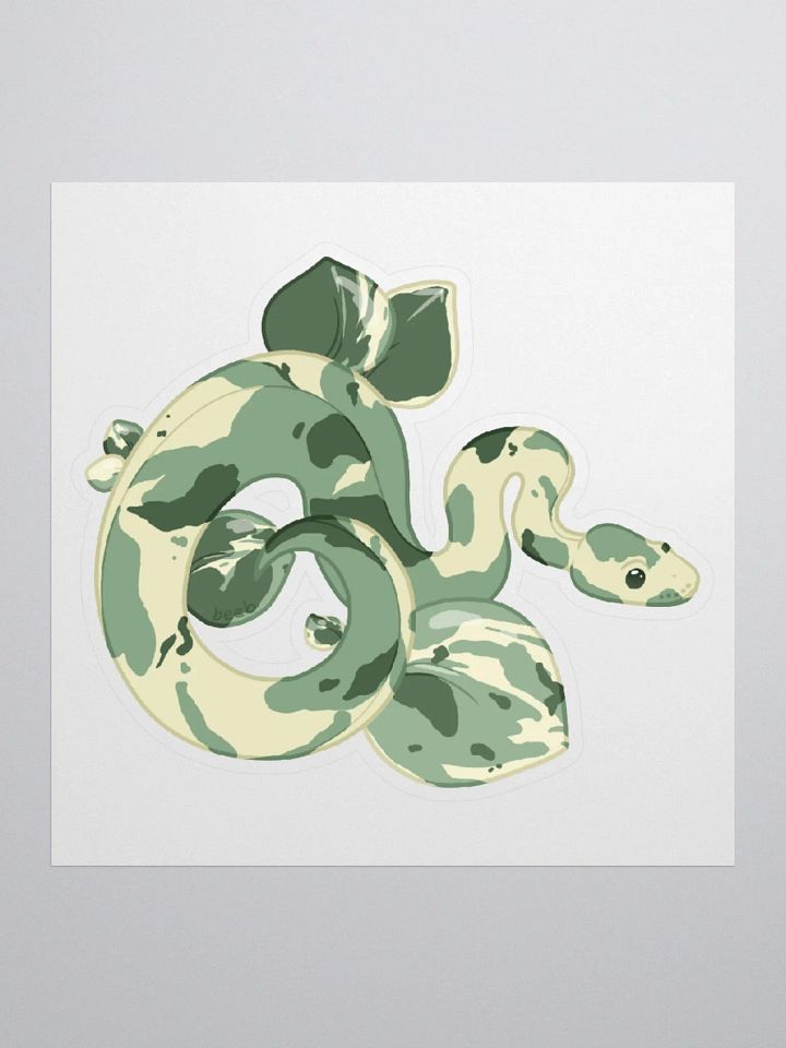 NEW Variegated Peperomia Houseplant Snake product image (1)