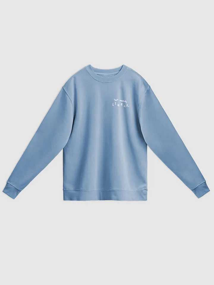 *not* mentally linear (sm. lined design, #BDCAEF) printed pigment crewneck product image (15)