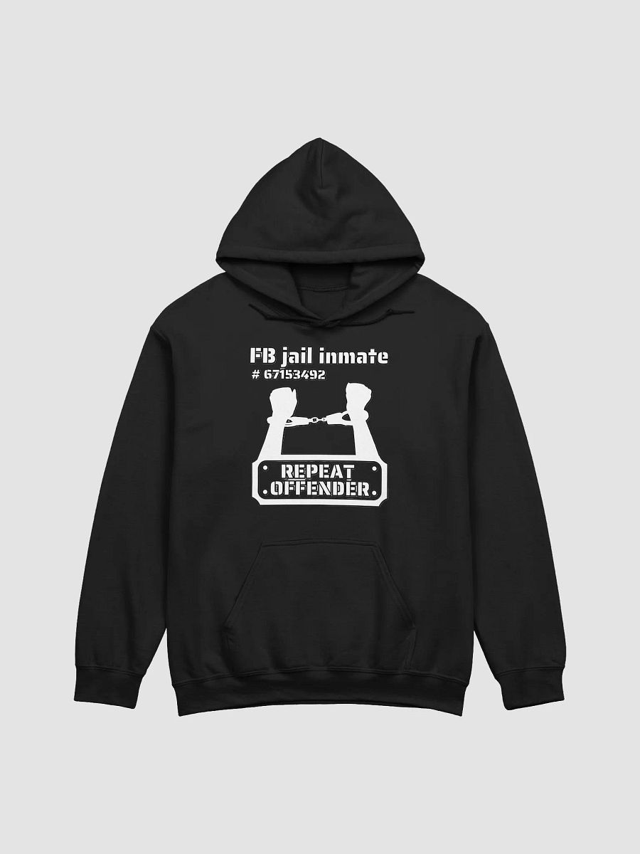 FB JAIL INMATE REPEAT OFFENDER product image (5)