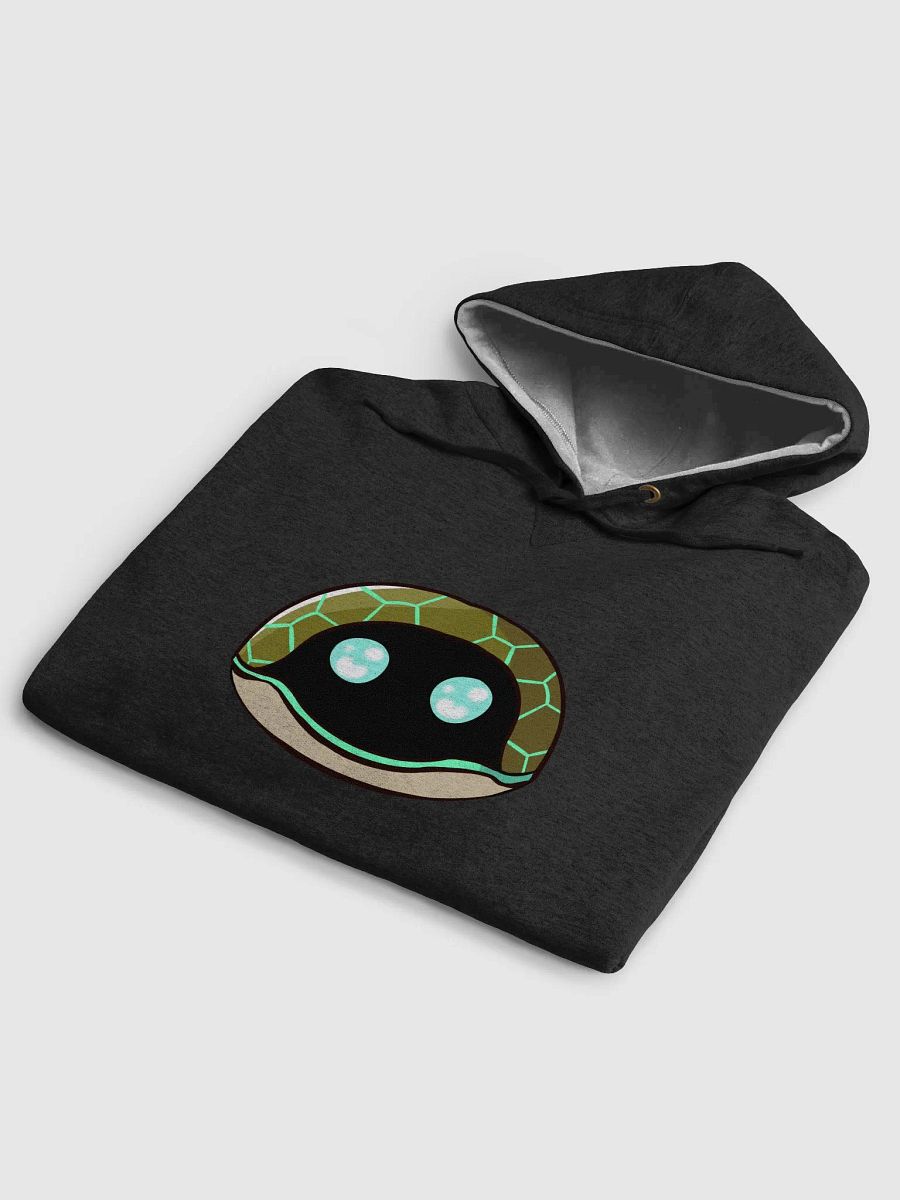 Champion Hoodie product image (5)