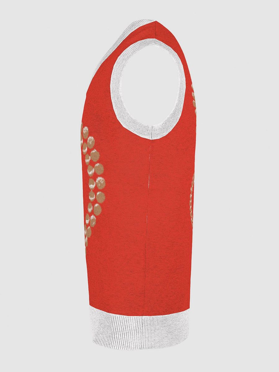Heartfelt Knitted V-Neck Vest product image (26)