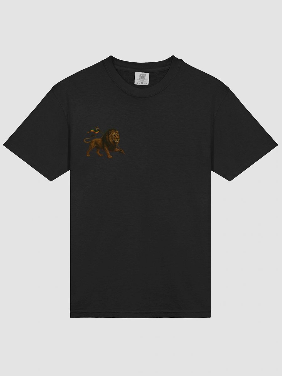 IILion Shirt (div. colours) product image (6)